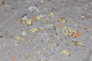 Recycled paper pulp with Lichen