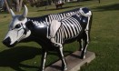 X Ray Cow
